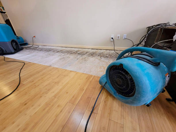 Professional Flood Damage Cleanup technician working in Middleton, WI